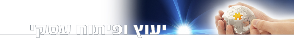 יעוץ ופיתוח עסקי